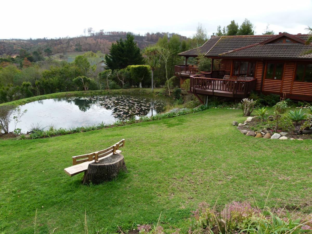 Fish Eagle Lodge Knysna Bagian luar foto