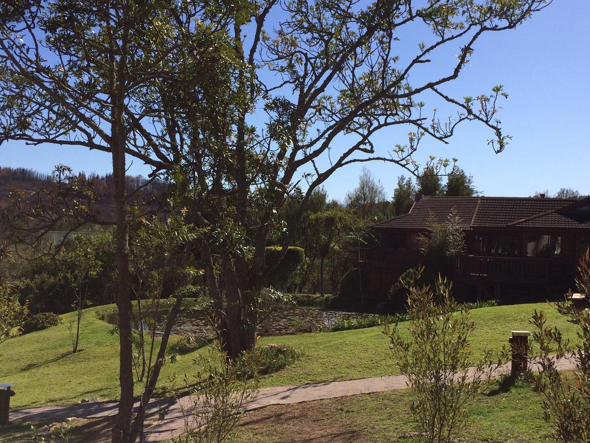 Fish Eagle Lodge Knysna Ruang foto